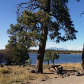 Review photo of Ashurst Lake Campgrounds by Paul W., March 21, 2017