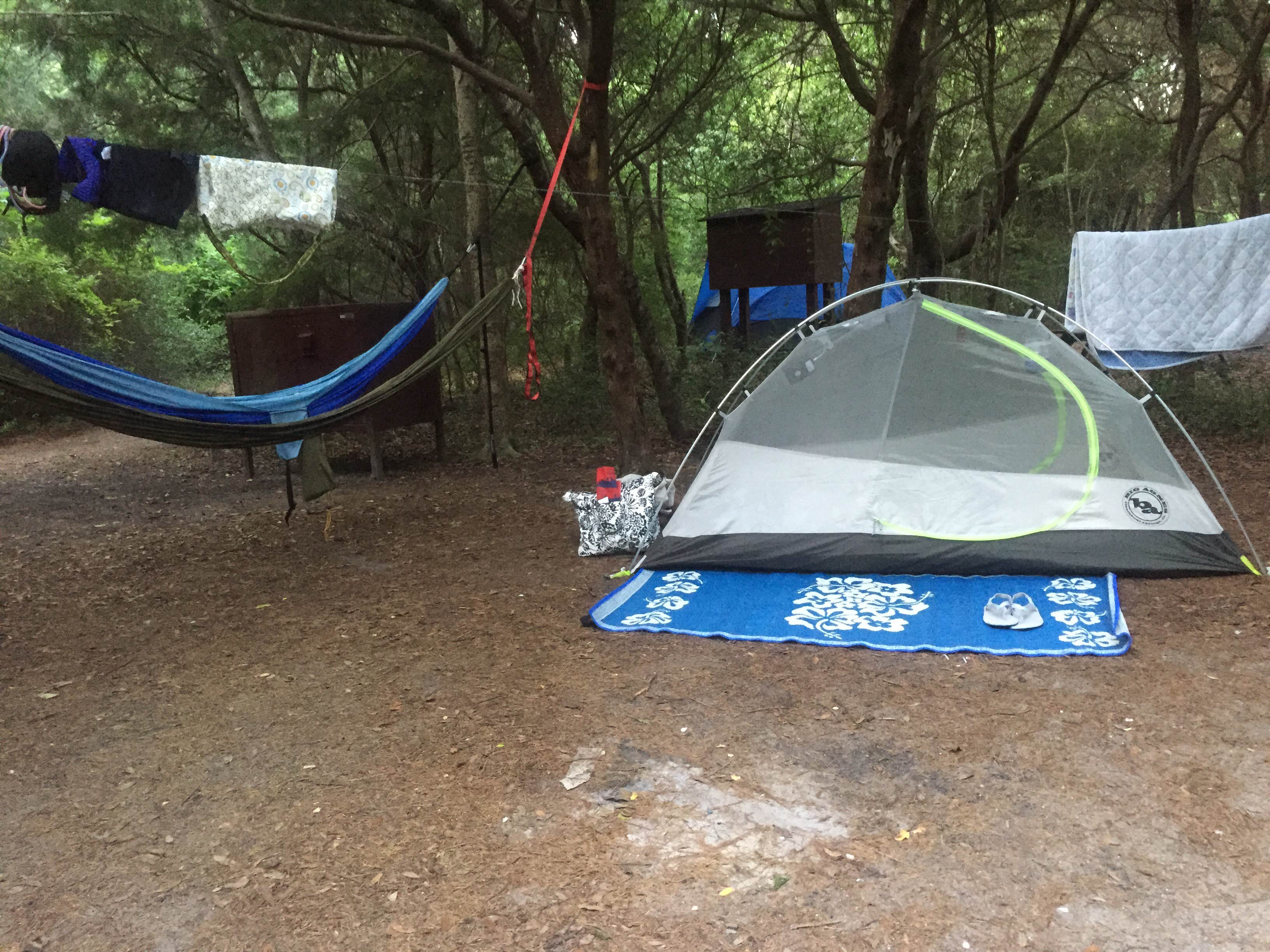 Chelsie  N.'s photo at Huntington Beach State Park Campground near Jamestown, SC