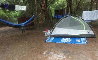 Chelsie N.'s photo at Huntington Beach State Park Campground near Conway, SC