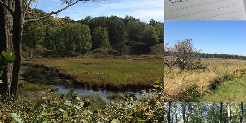 Camper submitted image from Mille Lacs Kathio Petaga Campground — Mille Lacs Kathio State Park