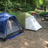 Review photo of Myre State Park Campgrounds by Amber S., March 21, 2017