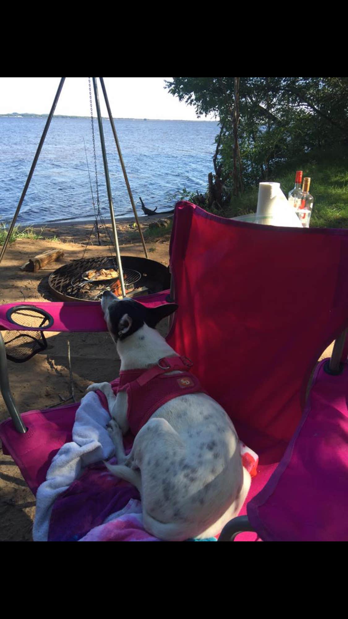 Camper submitted image from Buckhorn State Park Campground - 3
