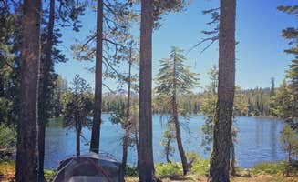 The Camp Kit's photo of tent camping at Goose Lake Campground near Clio, CA