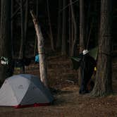 Review photo of Jones Island Marine State Park Campground by Shawn A., March 22, 2017