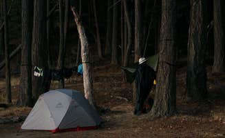 Shawn A.'s photo at Jones Island Marine State Park Campground near Deer Harbor, WA