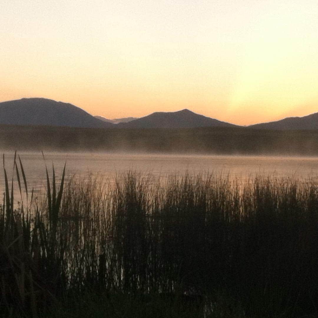 Camper submitted image from Saratoga Lake Campground - 2