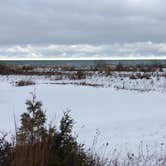 Review photo of Wilderness State Park Camping by Alyssa L., March 23, 2017