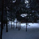 Review photo of Wilderness State Park Camping by Alyssa L., March 23, 2017