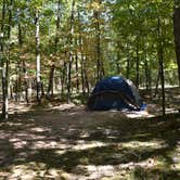 Review photo of Taum Sauk Mountain State Park Campground by Shannon B., March 23, 2017