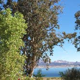 Review photo of Boulder Beach Campground — Lake Mead National Recreation Area by Shana H., March 26, 2017