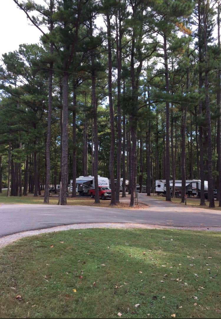 Camper submitted image from Hillman Ferry Campground - 4