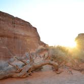 Review photo of Devils Garden Campground — Arches National Park by Mariah B., March 28, 2017