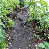 Review photo of Waiʻanapanapa State Park Campground by Michael K., June 16, 2016