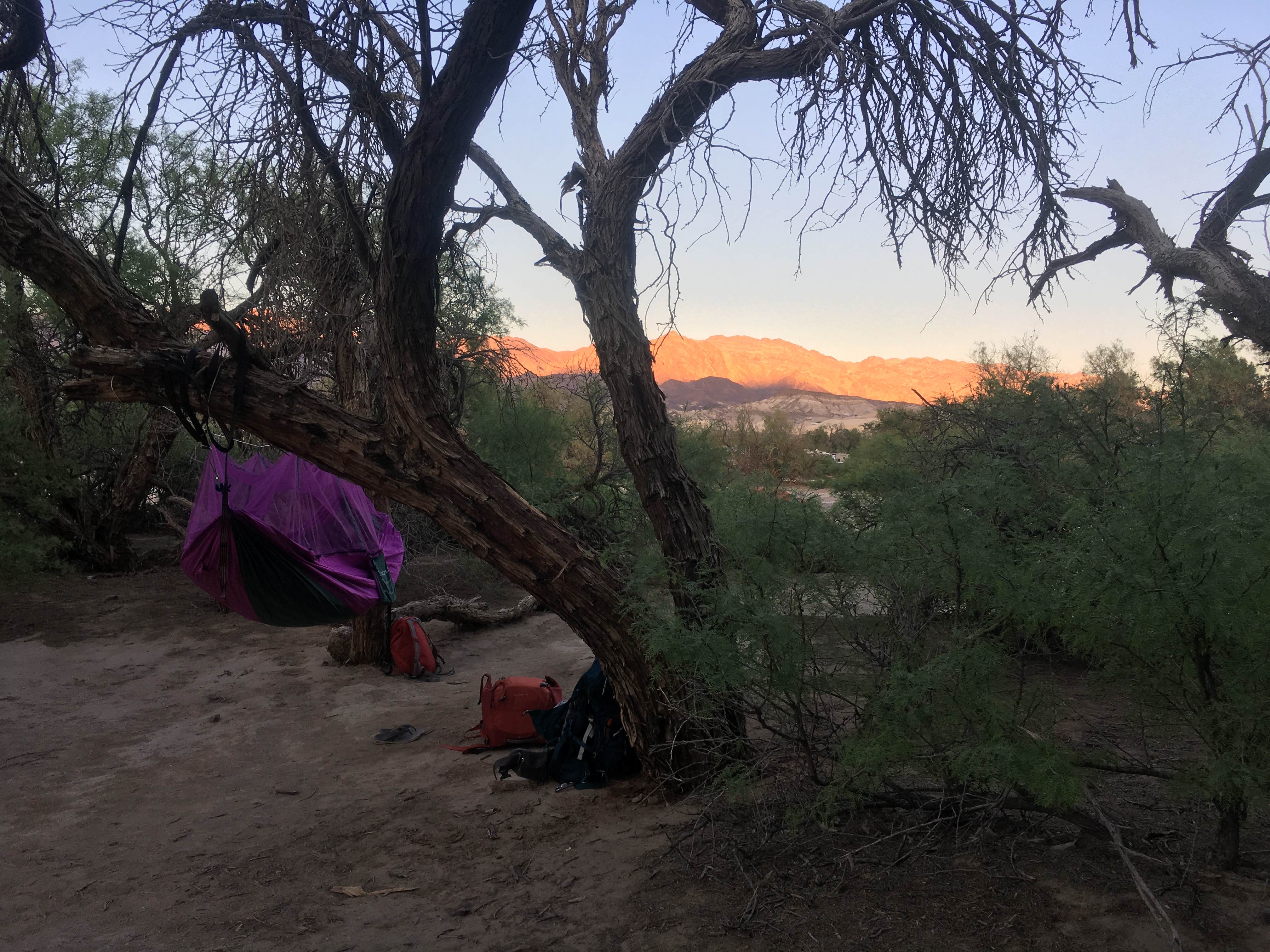 Kali  C.'s photo at Furnace Creek Campground — Death Valley National Park near Amargosa Valley, NV
