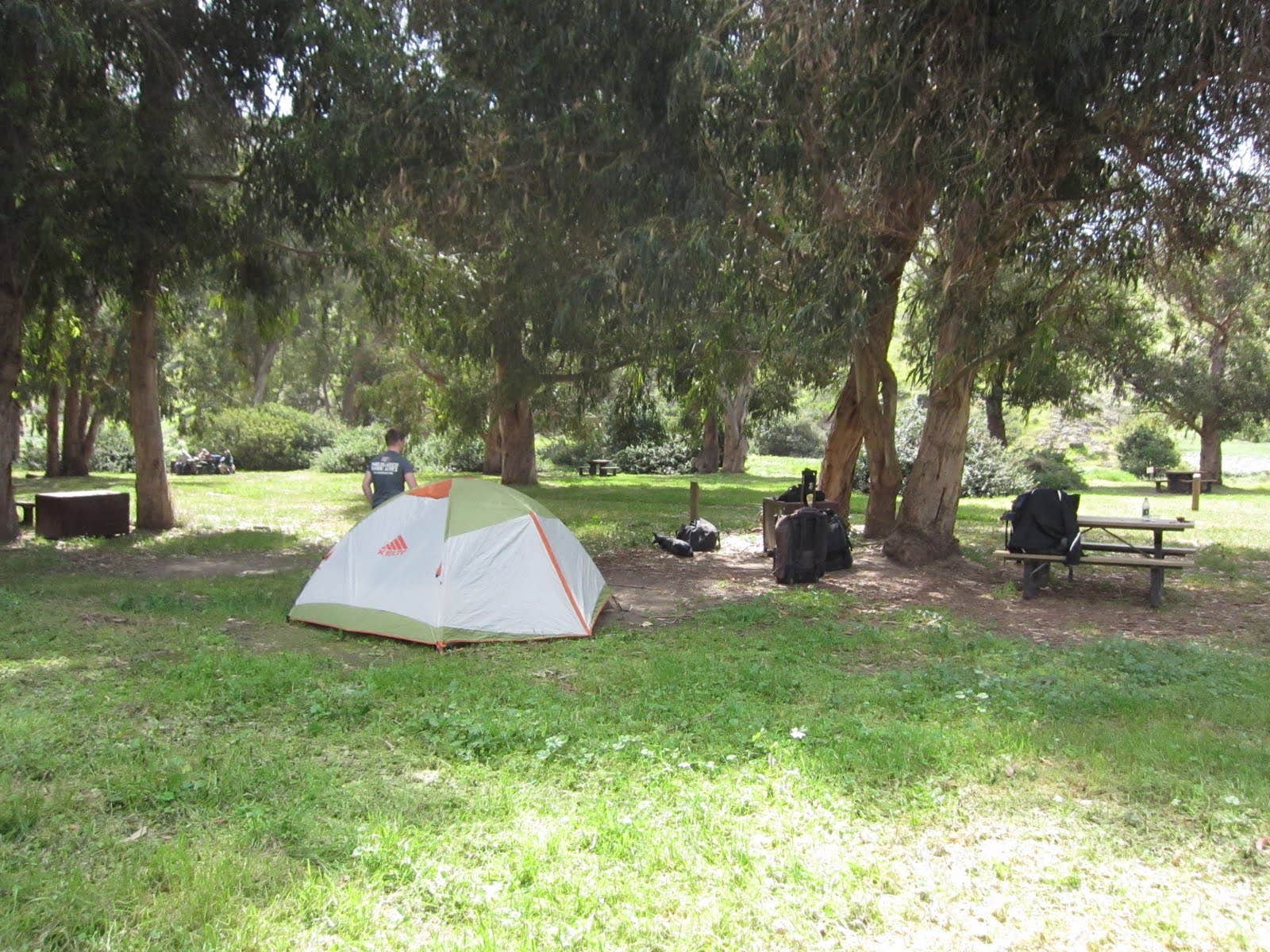 Kali  C.'s photo of tent camping at Santa Cruz Island Scorpion Canyon Campground — Channel Islands National Park near Santa Monica Mountains National Recreation Area