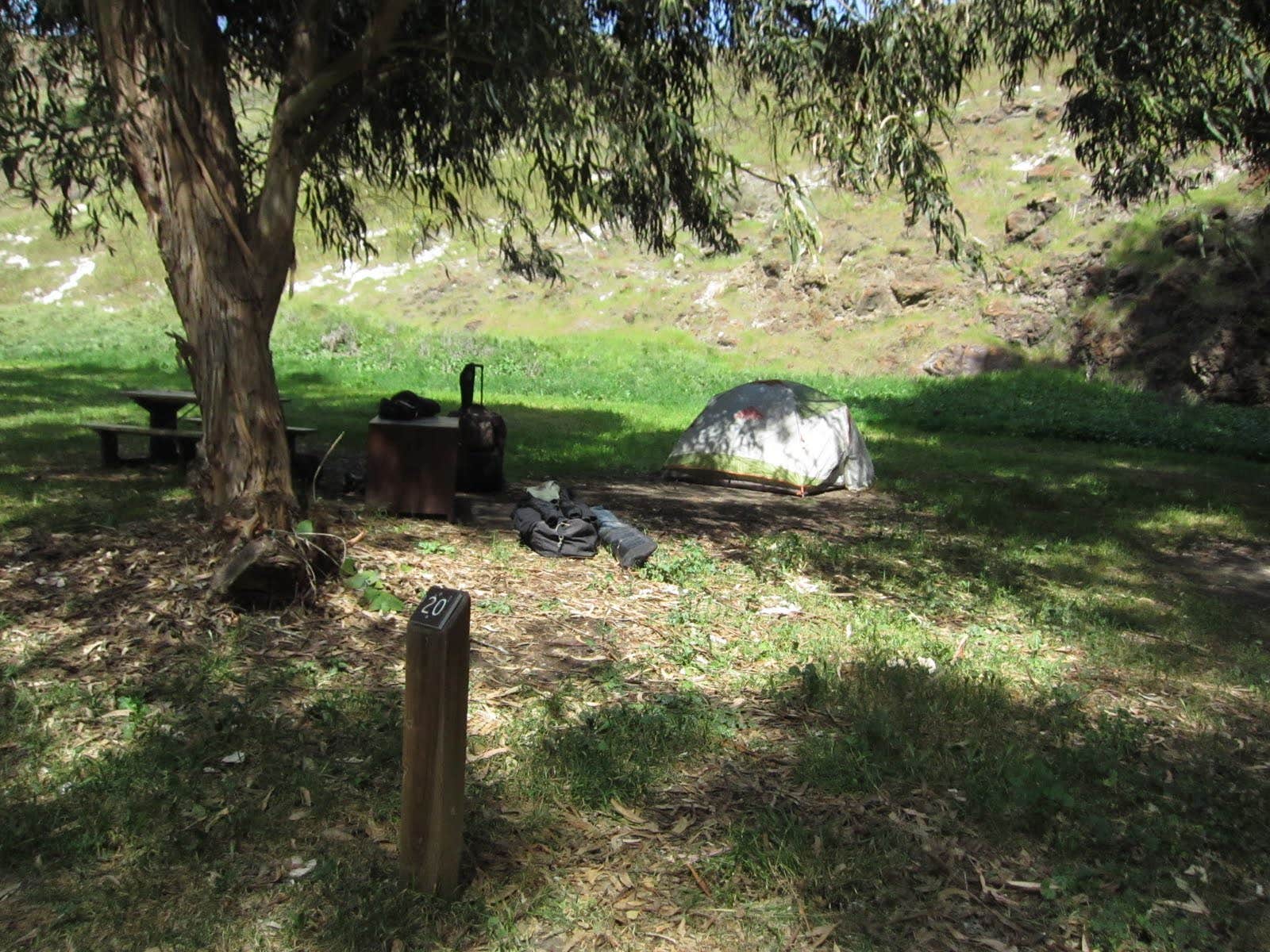 Kali  C.'s photo of tent camping at Santa Cruz Island Scorpion Canyon Campground — Channel Islands National Park near Santa Rosa Valley, CA
