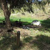 Review photo of Santa Cruz Island Scorpion Canyon Campground — Channel Islands National Park by Kali  C., March 28, 2017