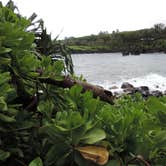 Review photo of Waiʻanapanapa State Park Campground by Michael K., June 16, 2016