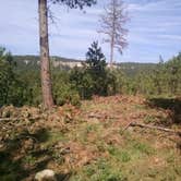 Review photo of Black Hills National Forest Dutchman Campground by Nate S., March 28, 2017