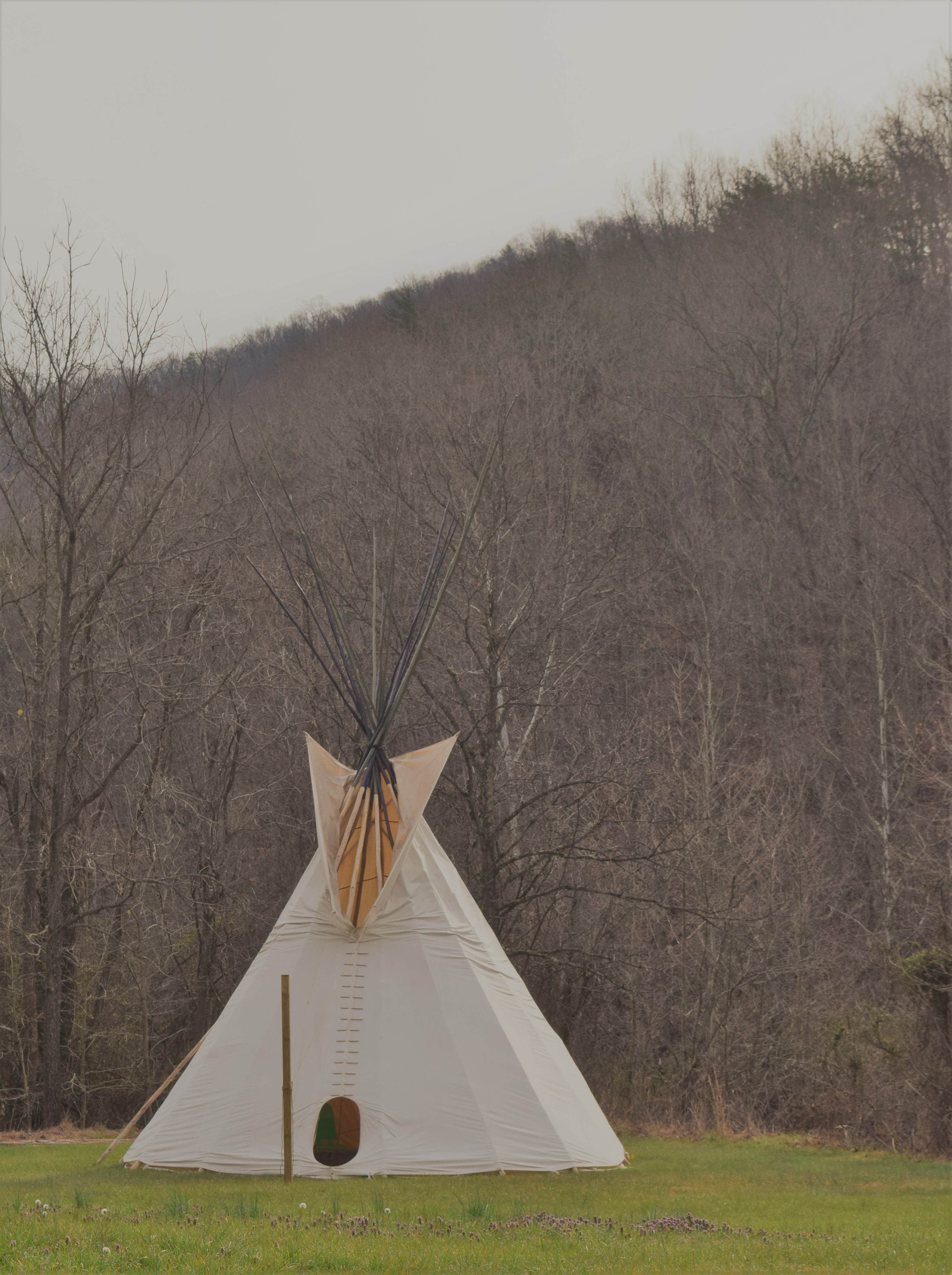 Carolyn S.'s photo of tent camping at HomeGrown HideAways near Stanford, KY