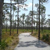 Review photo of Pine Grove Campground — Jonathan Dickinson State Park by Eloise N., March 31, 2017
