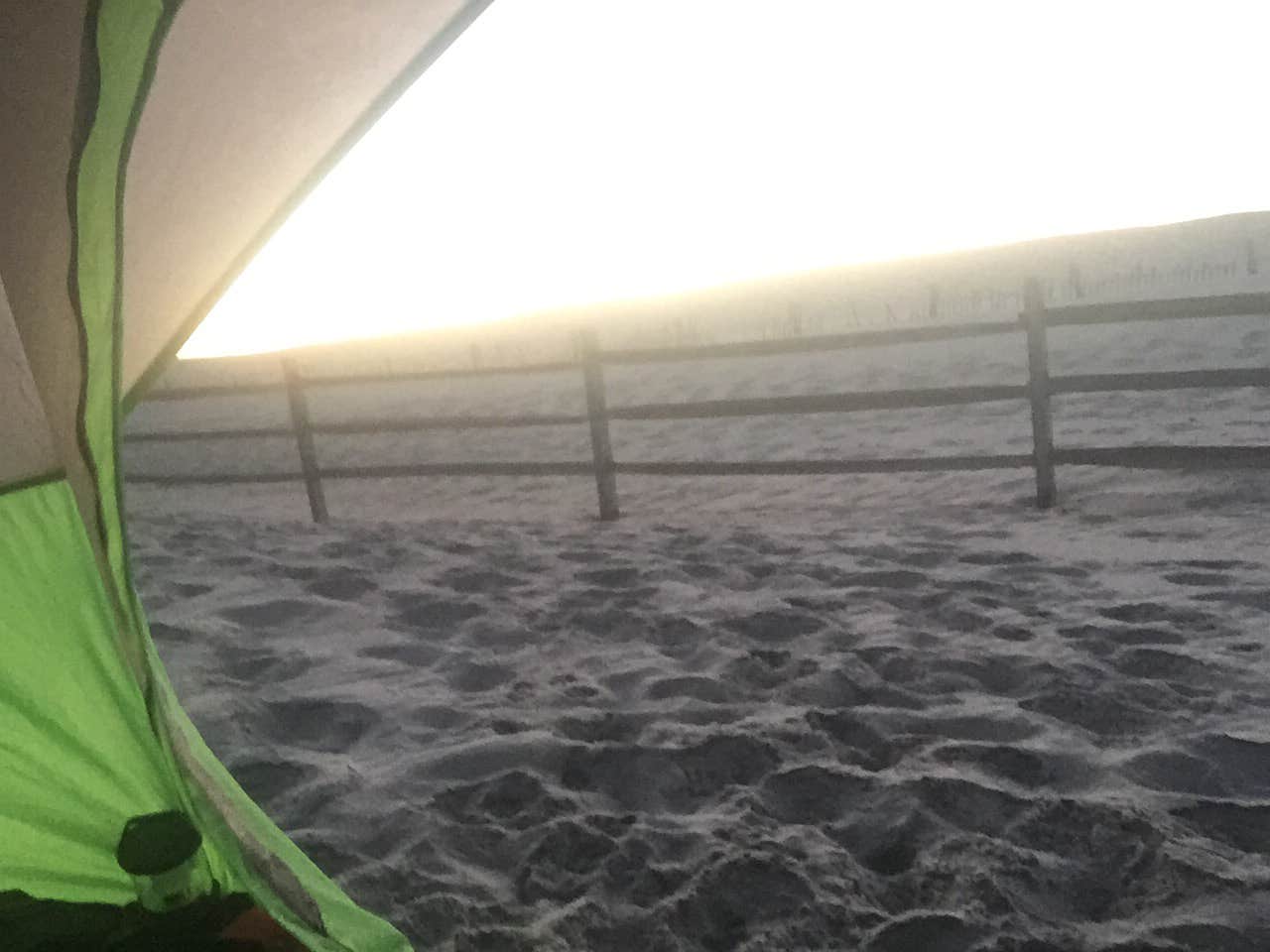 Camper submitted image from Assateague Island National Seashore Oceanside Campground - 2