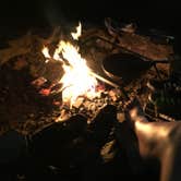 Review photo of Green Ridge State Forest by Brittany  N., April 1, 2017