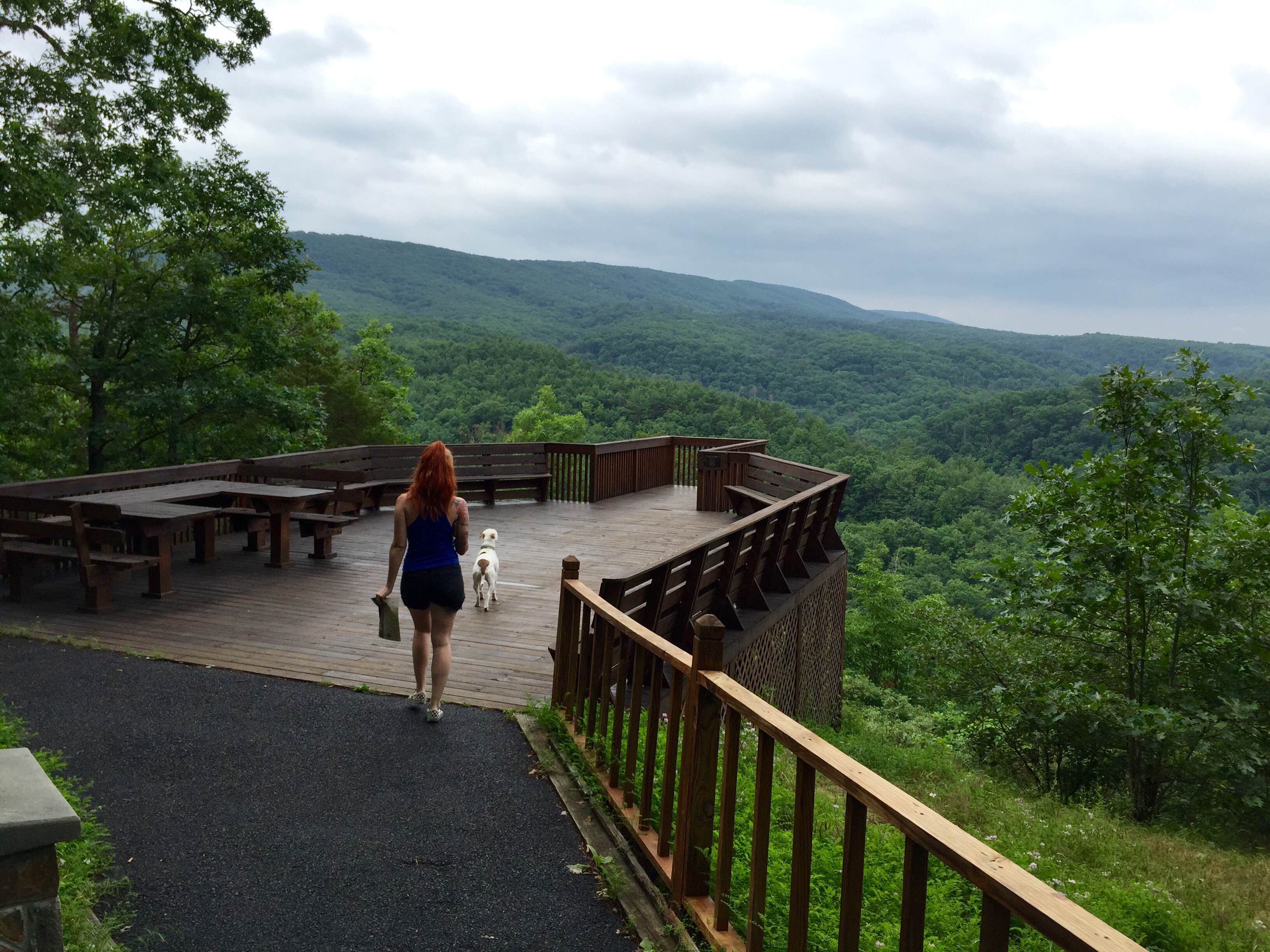 Camper-submitted photo at Green Ridge State Forest in Maryland