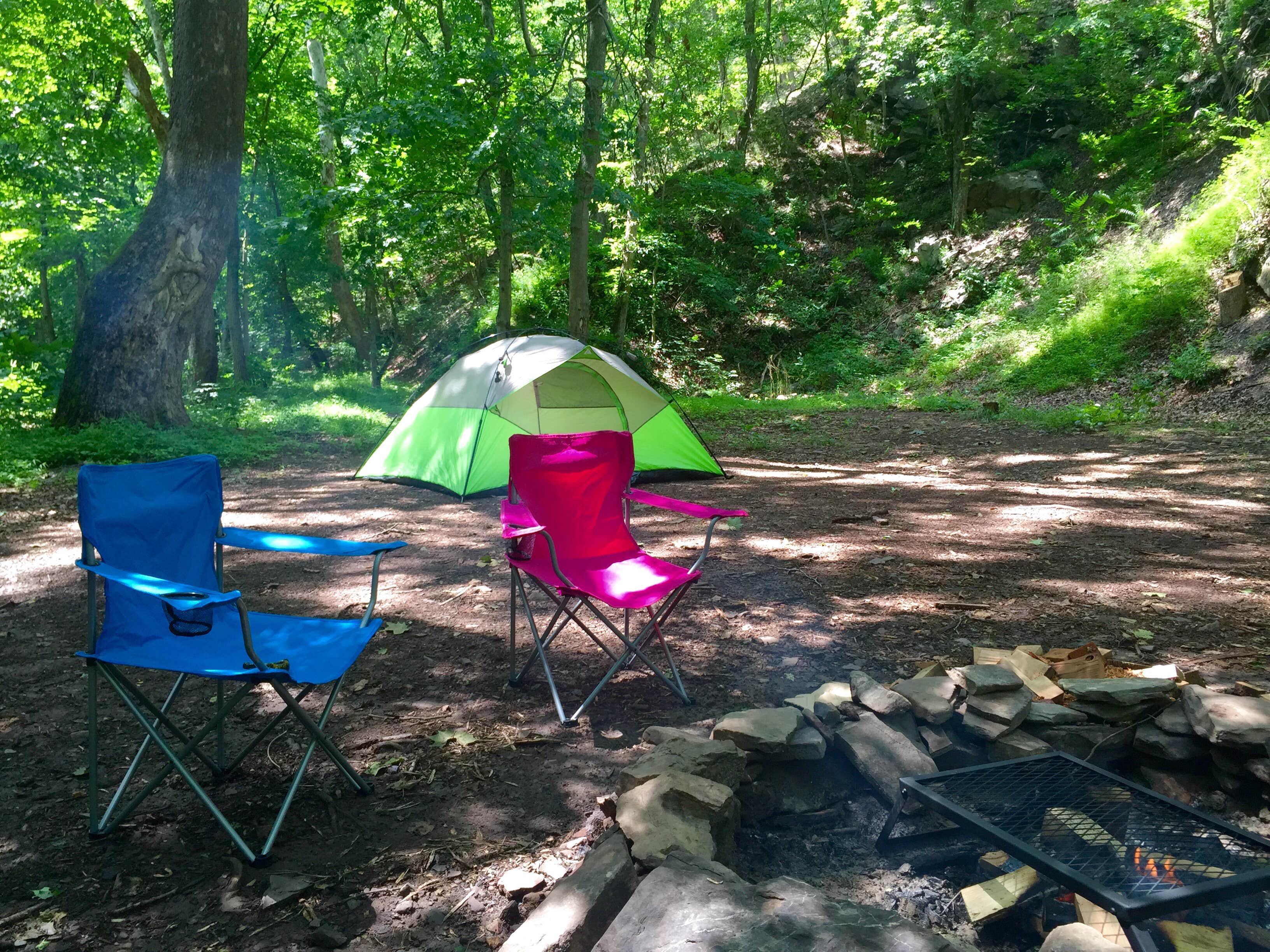 Camper submitted image from Green Ridge State Forest - 4