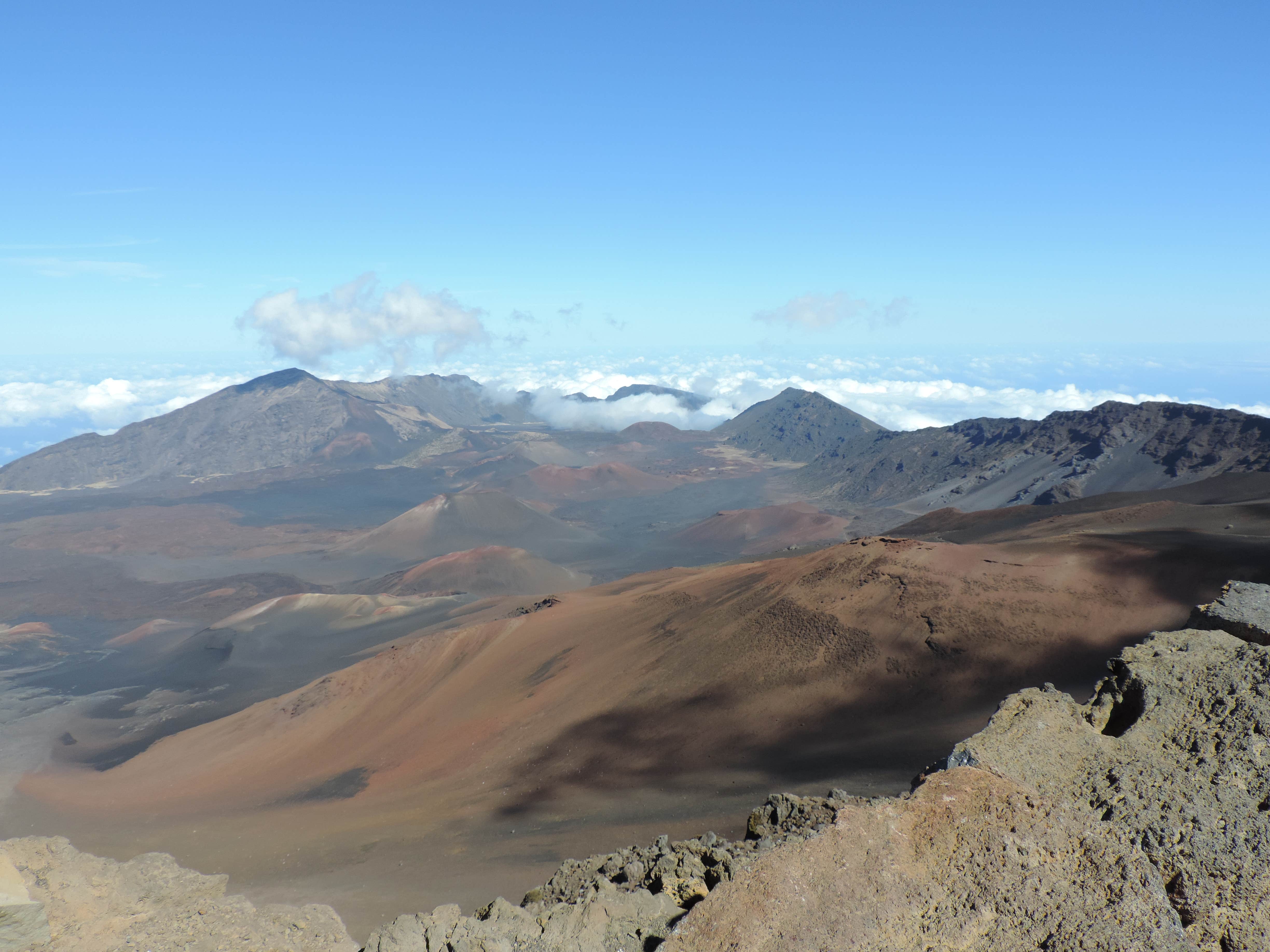 Camper submitted image from Hosmer Grove Campground — Haleakalā National Park - 2