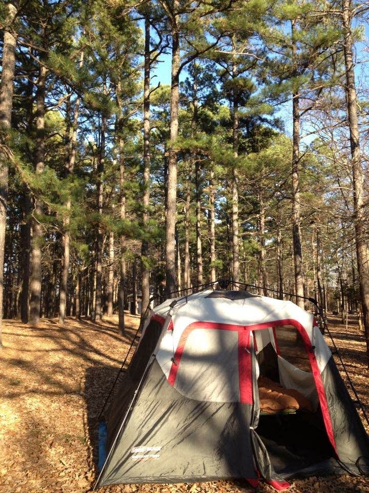 Kate B.'s photo at Pharoah - Garden of the Gods Rec Area Campground near Cave-In-Rock, IL