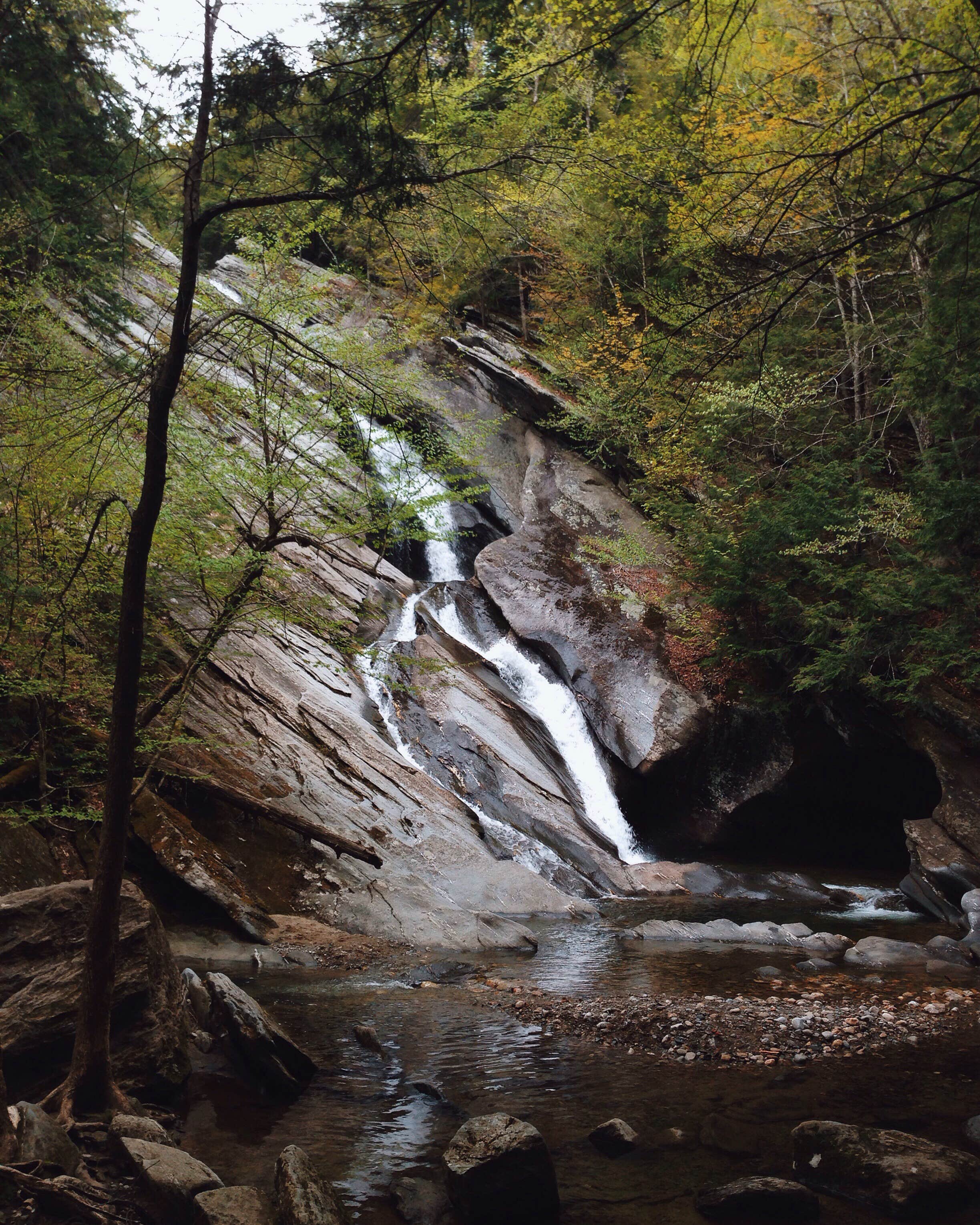 Camper submitted image from Jamaica State Park Campground - 3