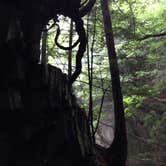 Review photo of Fort Dummer State Park Campground by Jaime R., April 2, 2017