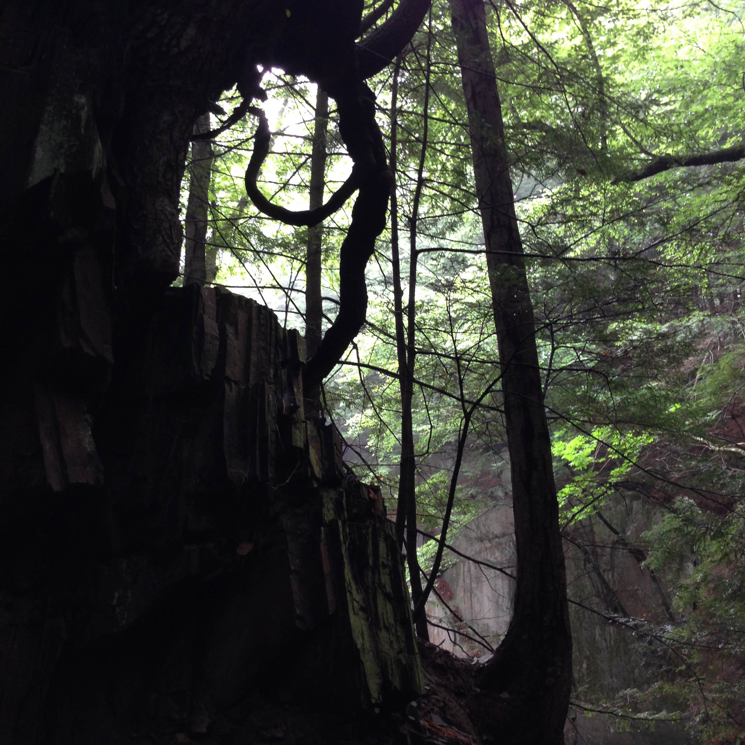 Camper submitted image from Fort Dummer State Park Campground - 1