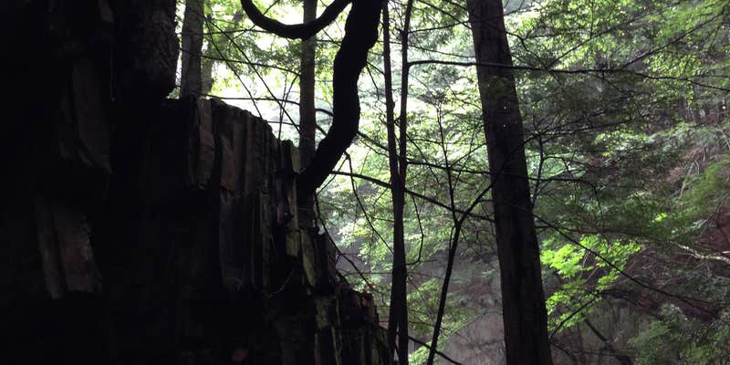 Camper submitted image from Fort Dummer State Park Campground