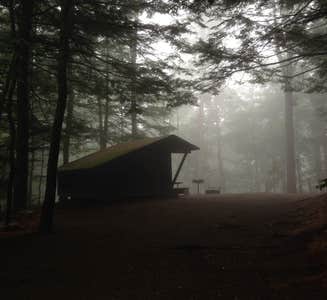 Camper-submitted photo from Fort Dummer State Park Campground