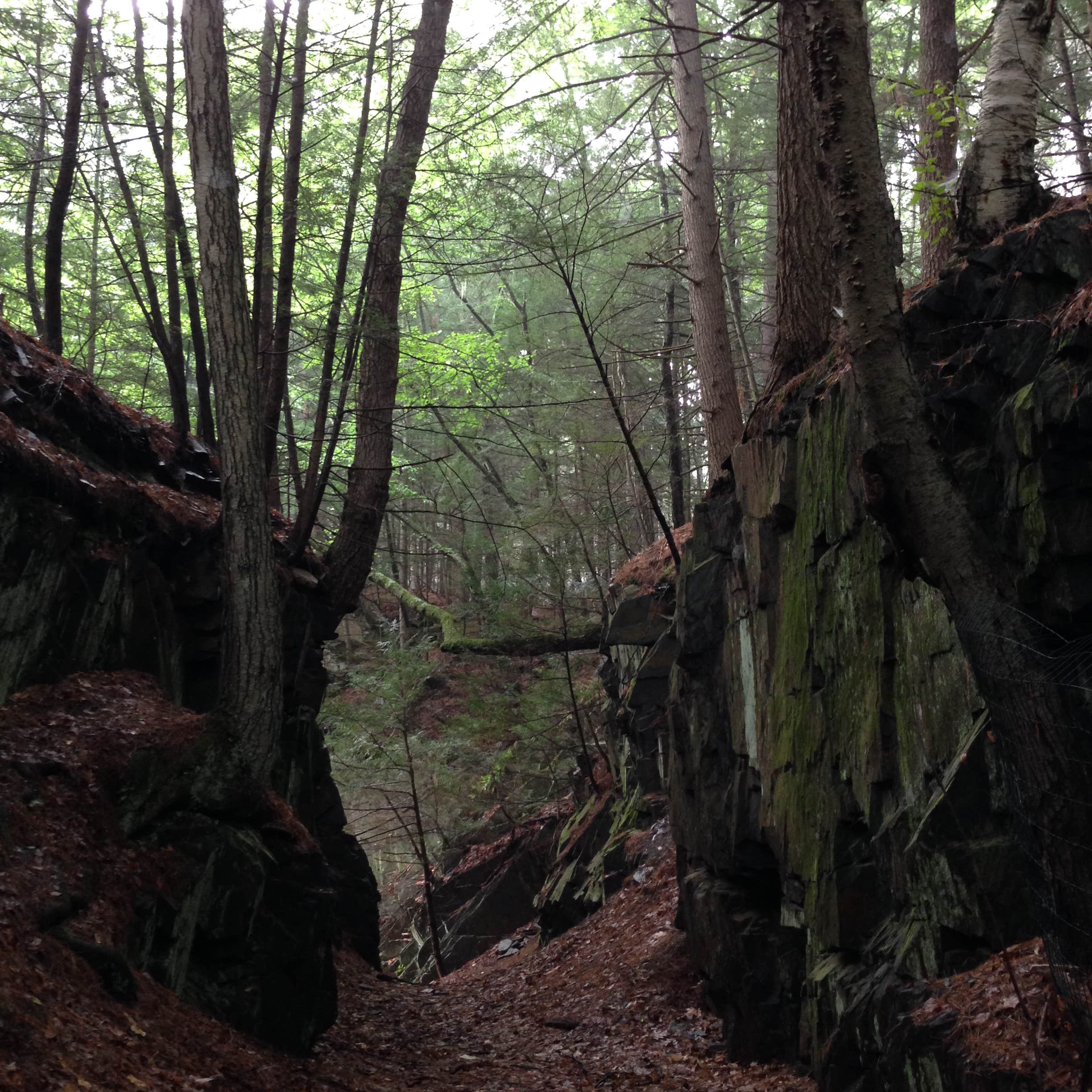 Camper-submitted photo at Fort Dummer State Park Campground near Greenfield, MA