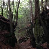 Review photo of Fort Dummer State Park Campground by Jaime R., April 2, 2017