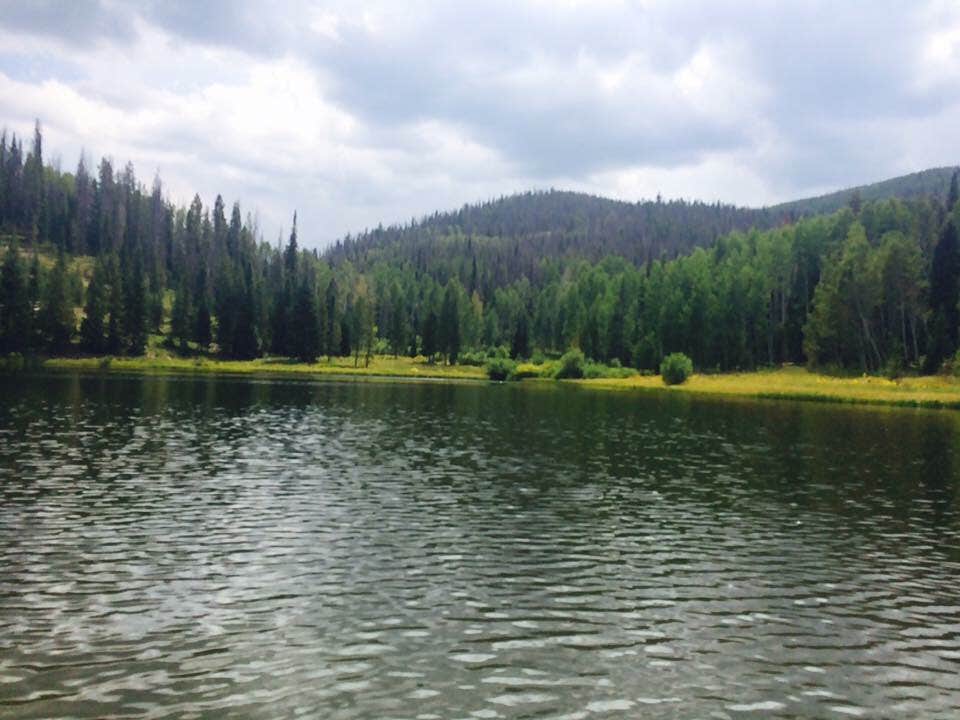 Camper submitted image from Pearl Lake State Park Campground - 2