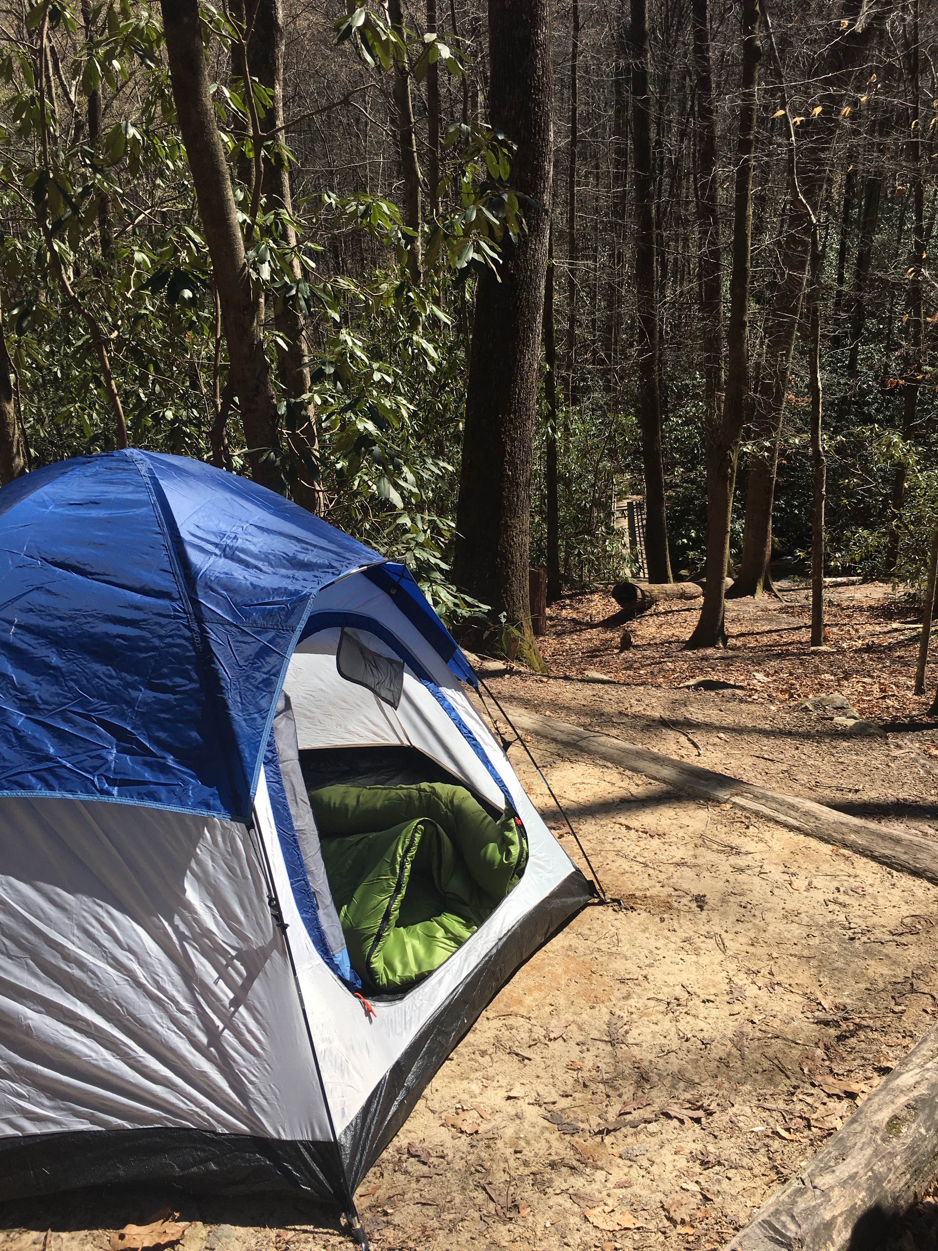 Stacy B.'s photo at Jones Gap State Park Campground near Glendale, SC
