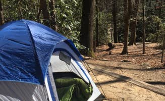 Stacy B.'s photo at Jones Gap State Park Campground near Flat Rock, NC
