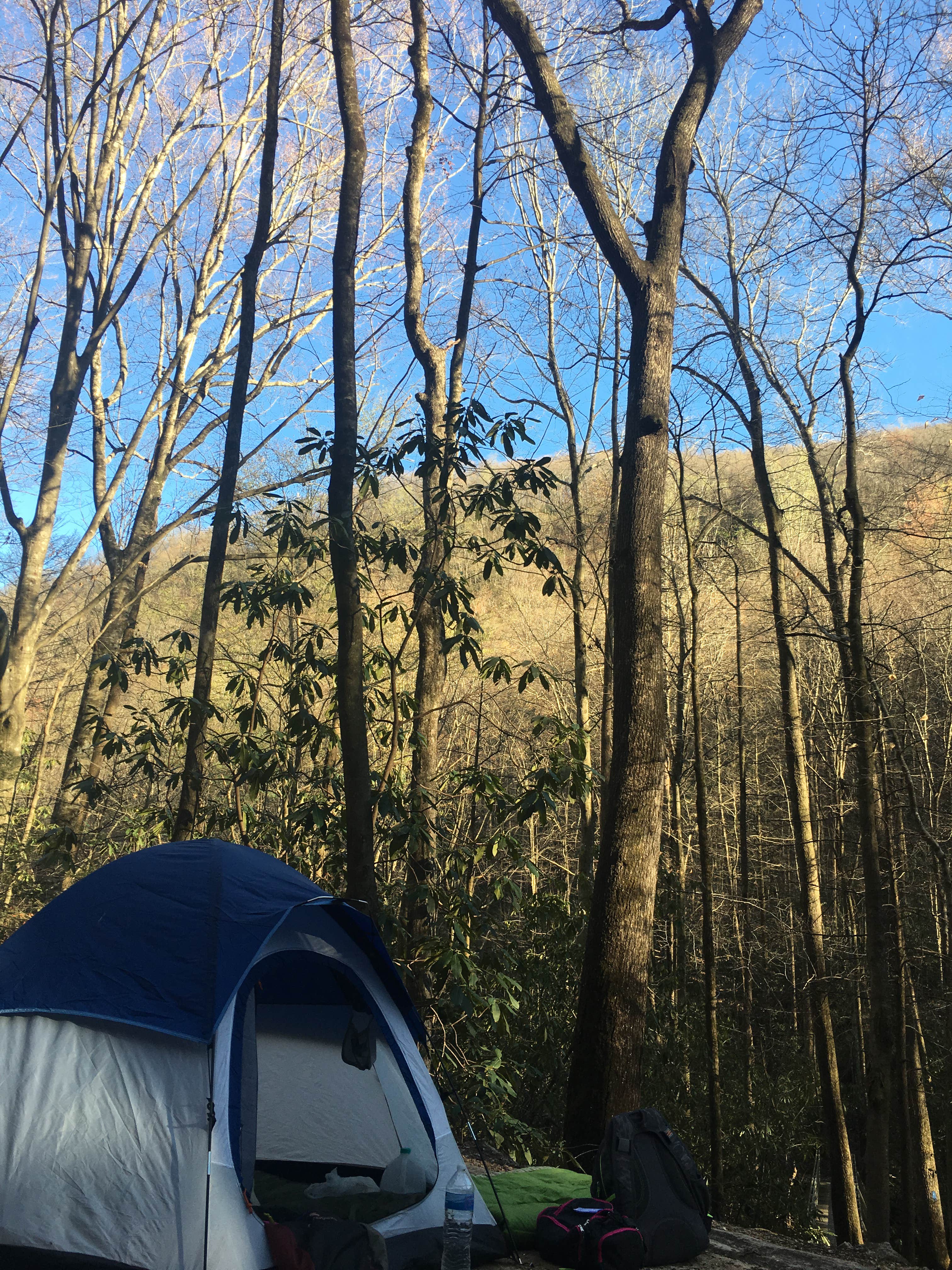 Stacy B.'s photo of tent camping at Jones Gap State Park Campground near Pickens, SC