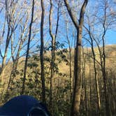 Review photo of Jones Gap State Park Campground by Stacy B., April 2, 2017