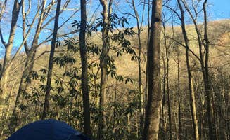 Stacy B.'s photo at Jones Gap State Park Campground near Glendale, SC