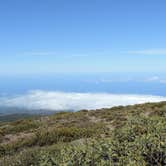 Review photo of Hosmer Grove Campground — Haleakalā National Park by Michael K., June 16, 2016