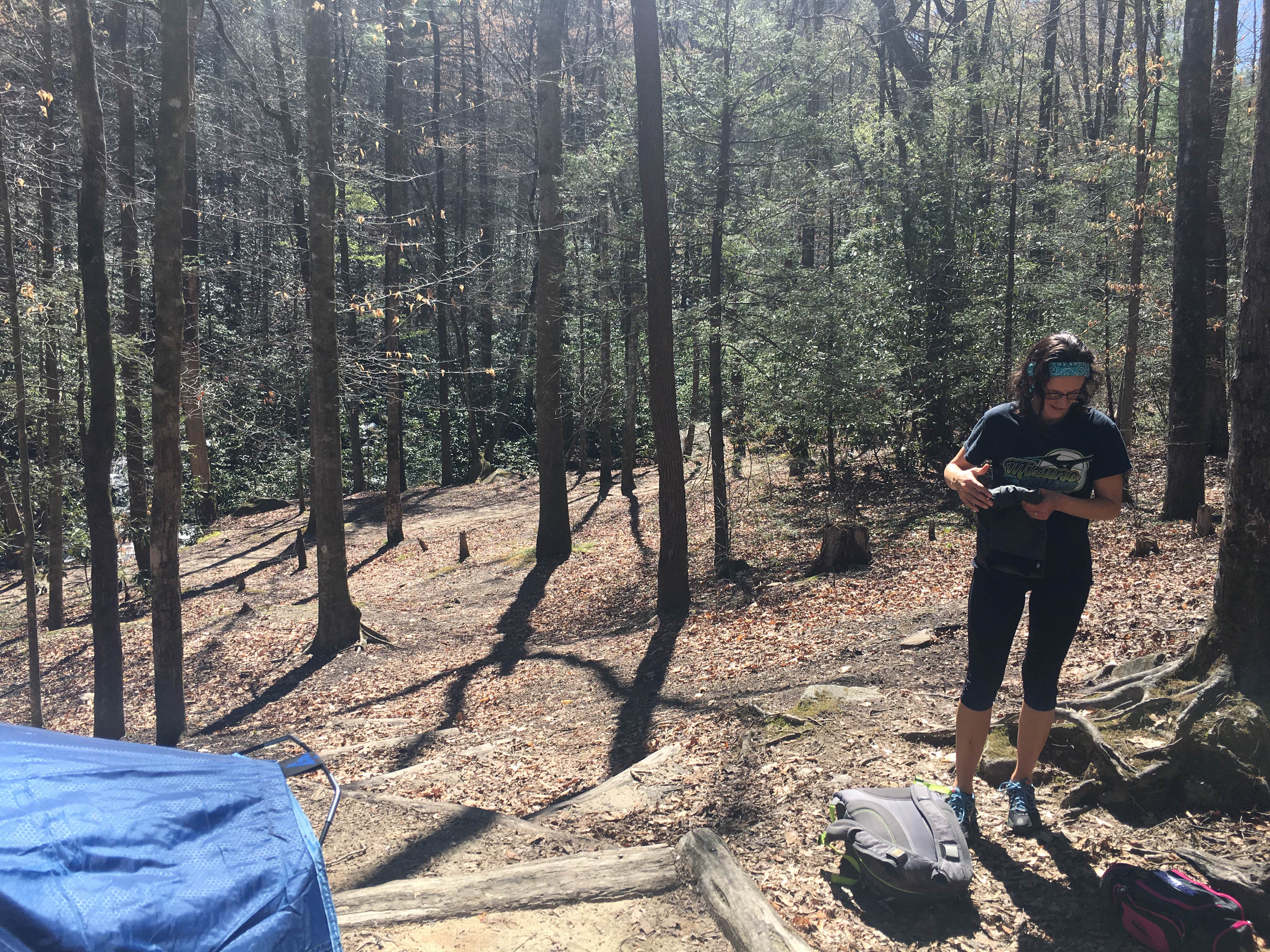 Camper submitted image from Jones Gap State Park Campground - 4