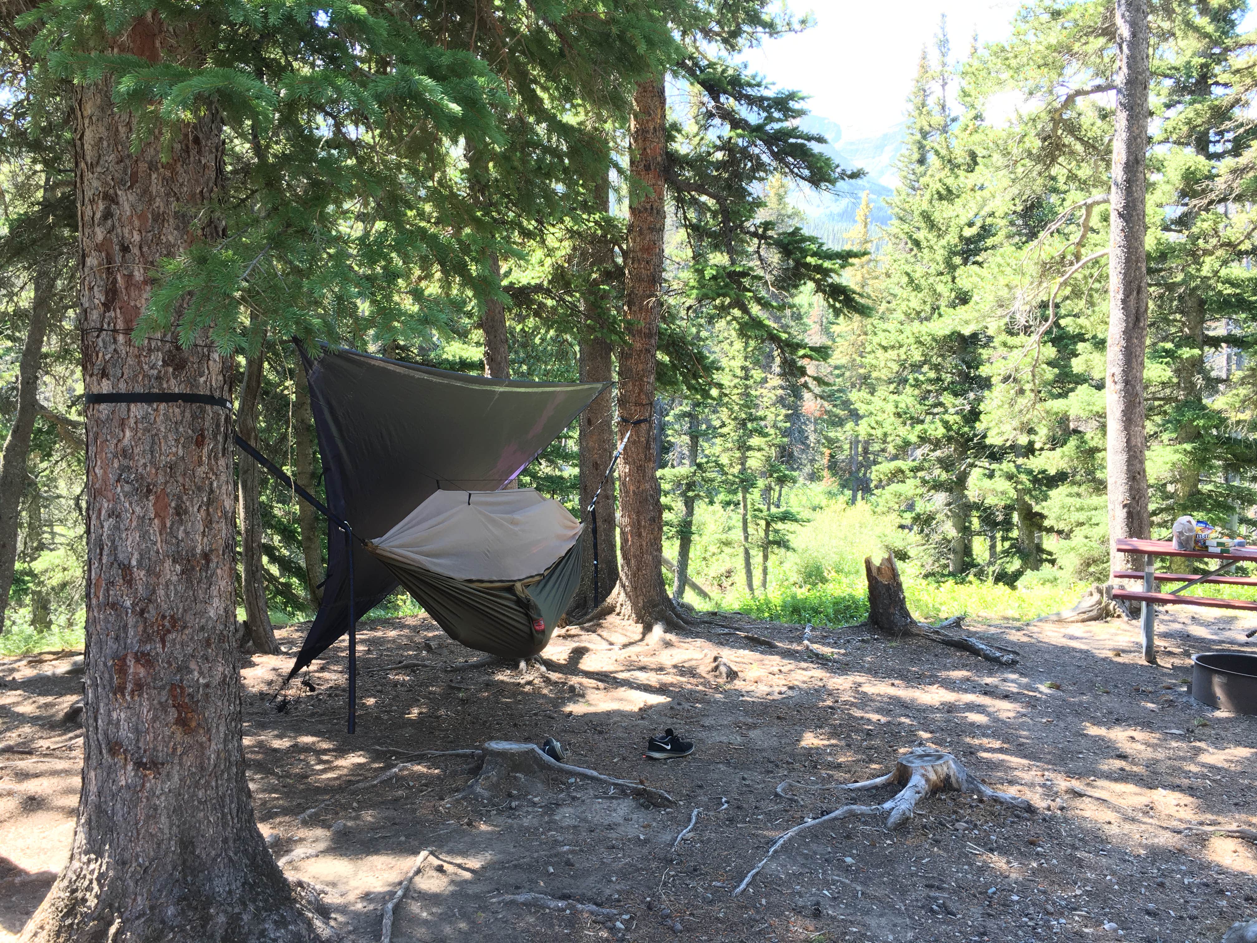 Jeff B.'s photo at Cut Bank Campground — Glacier National Park near Babb, MT
