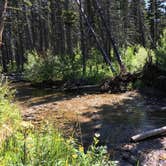 Review photo of Cut Bank Campground — Glacier National Park by Jeff B., April 3, 2017