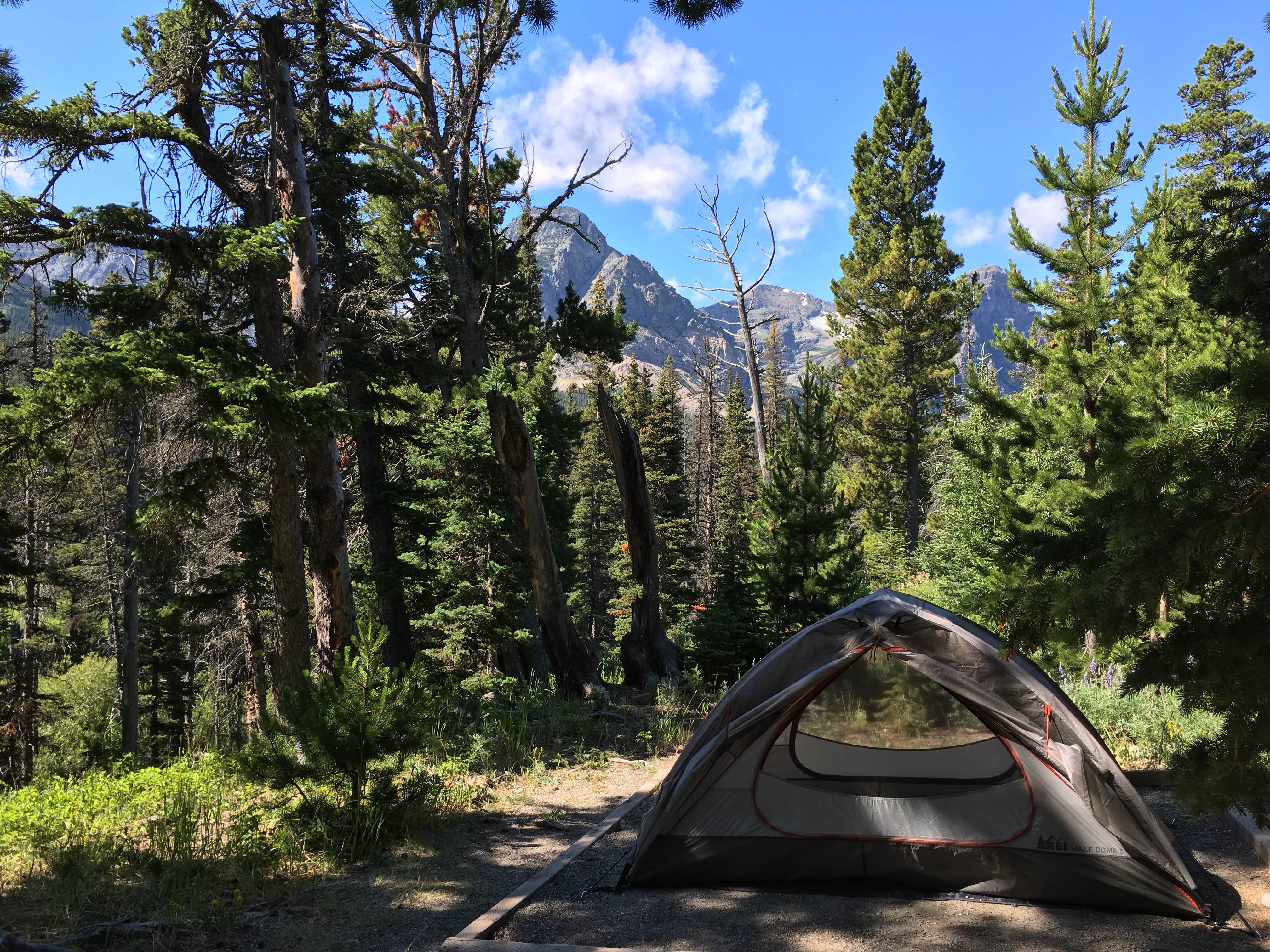 Camping near Two Medicine Campground — Glacier National Park: Cut Bank Campground — Glacier National Park, Siyeh Bend, Montana