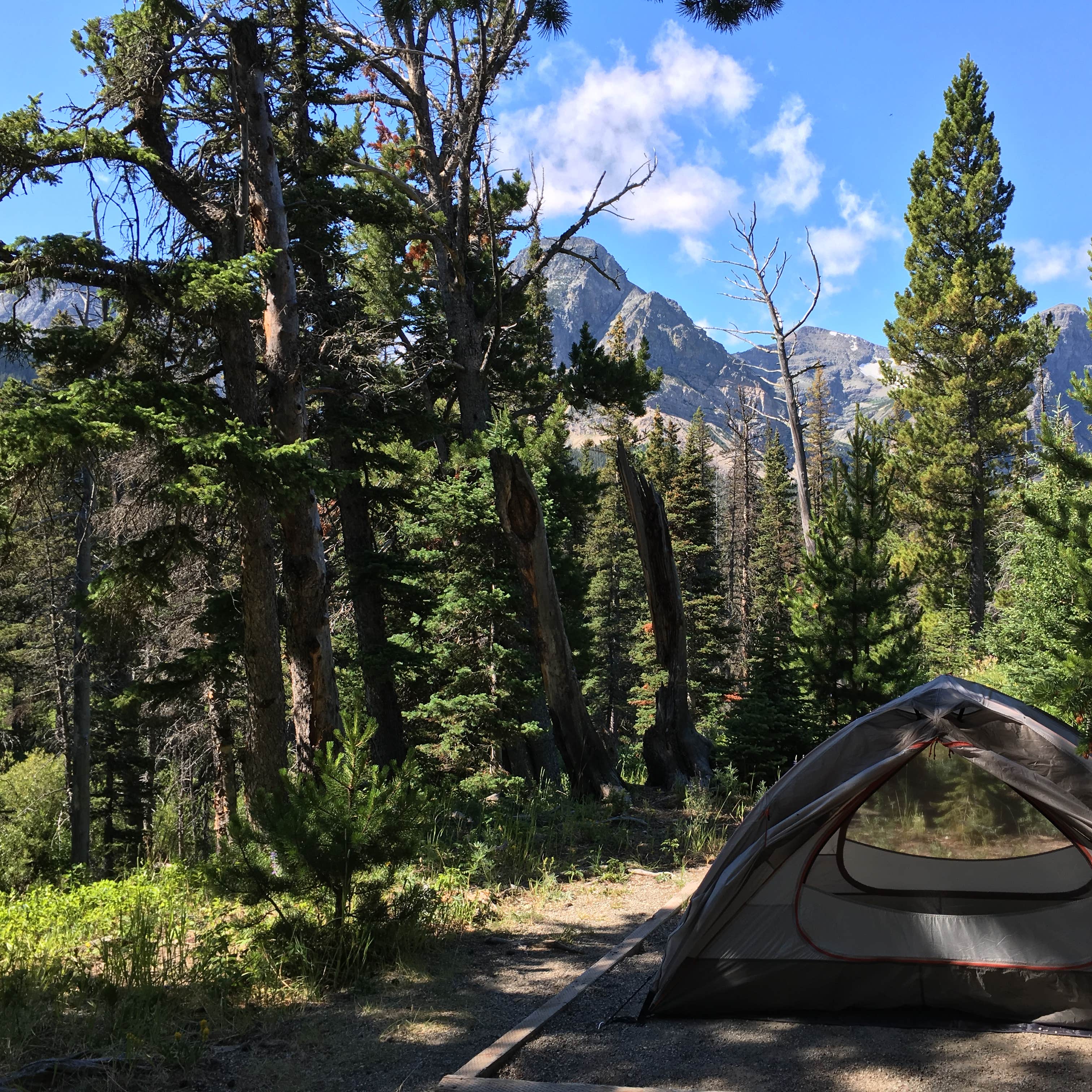 Cut Bank Campground — Glacier National Park